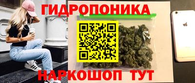 ПСИЛОЦИБИНОВЫЕ ГРИБЫ Ачхой-Мартан